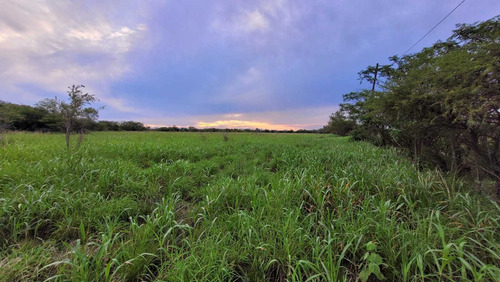 Imagen 3 de 6 de Campo 7,2 Has A 15 Minutos De Circunvalación Permuto Por Departamentos
