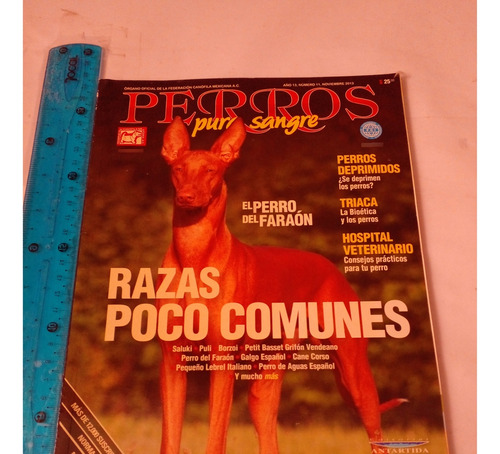 Revista Perros Pura Sangre No 11 Noviembre 2013 