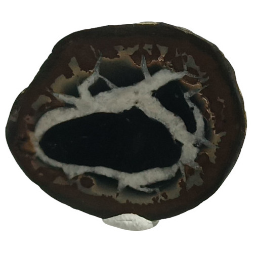 Septaria Piedra 100% Natural 42 Quilates $ 110.000