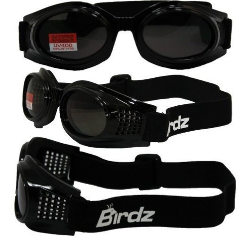 Birdz Gafas Gafas De Kite Motocicleta (negro Frame / Smoke L