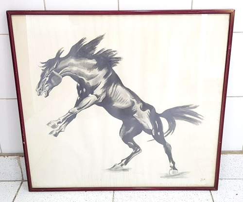 Cuadro Caballo Firmado  Expoart Galeria De Arte B50