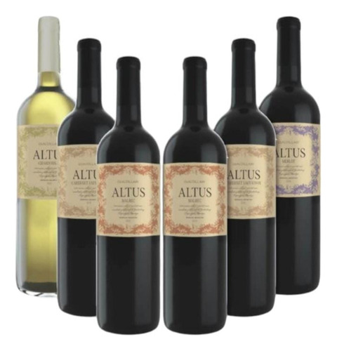 Caja X6u Vino Altus Mix Varietales Bodega Gualtallary