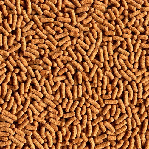 Ração Alcon Garden Koi Colours 200g - Carpa Carpas Nishikigo