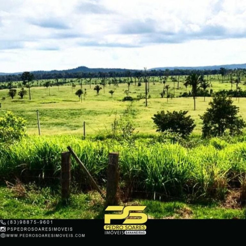 Imagem 3 de 5 de Fazenda À Venda, 120000000 M² Por R$ 217.000.000,00 - Zona Rural - São Félix Do Xingu/pa - Fa0271
