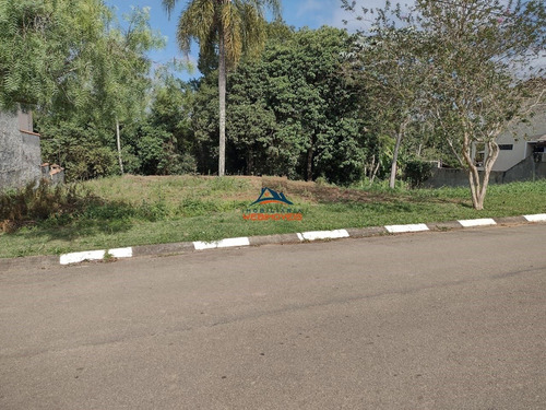 Imagem 6 de 9 de Terreno - Te00035 - 69551895