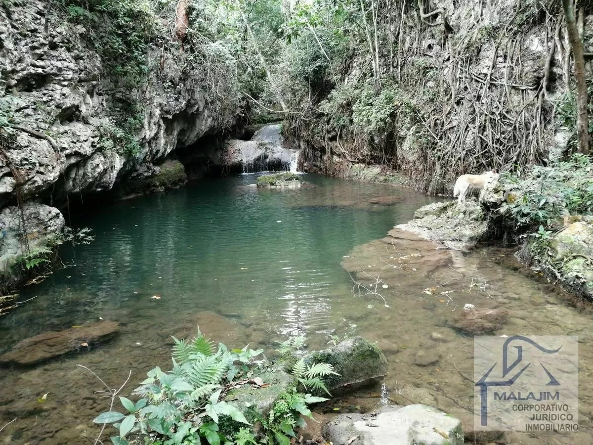 83 Hectáreas En Venta, Abundante Agua, Río, Cuevas En Berrio