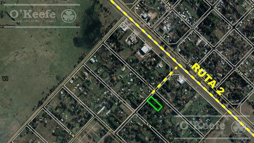 Imagen 13 de 20 de Quinta En Venta En Abasto 4180 Mts. Con Muy Buena Forestación