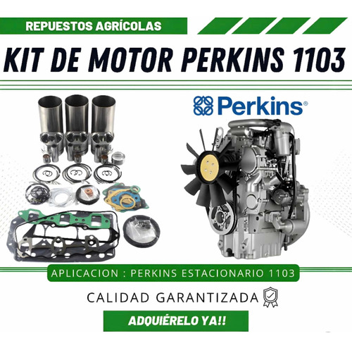 Overhaul Motor Perkins 1103 Estacionario