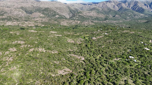 Campo En Venta En Nono, Los Algarrobos