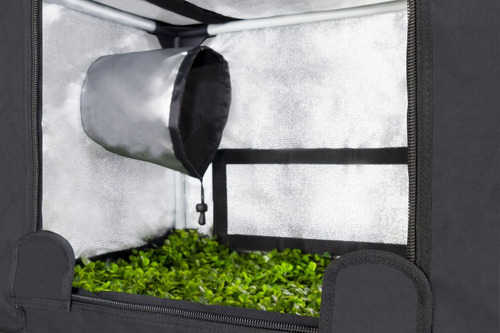 Imagen 5 de 10 de Carpa Indoor Garden Probox Propagator S 60x40x40 Esquejes