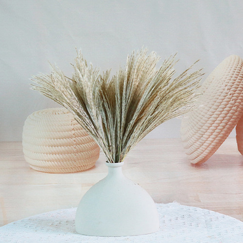 . 110 Peças Secas De Capim De Pampas, Decoração De Capim
