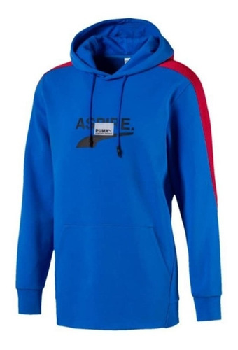 Buzos Con Capucha Puma Avenir Hoody