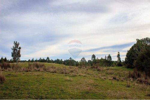 Imagen 11 de 30 de Parcela Disponible - Chiloe