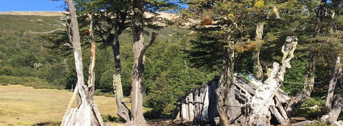 Sitio En Venta En Cisnes