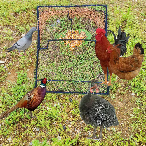 Trampa Para Pájaros, Paloma, Gorrión, Codorniz, Pollo, Contr