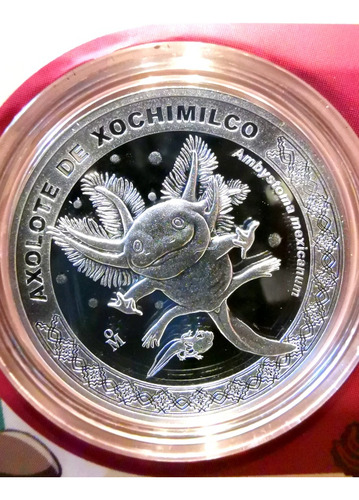 Medallas En Plata 100 Años Del Zoológico De Chapultepec (Usado)