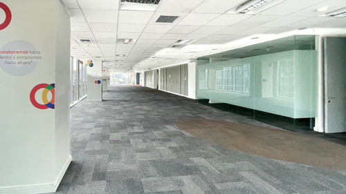 Oficina Nueva Las Condes 442 M2, Planta Libre, Privados