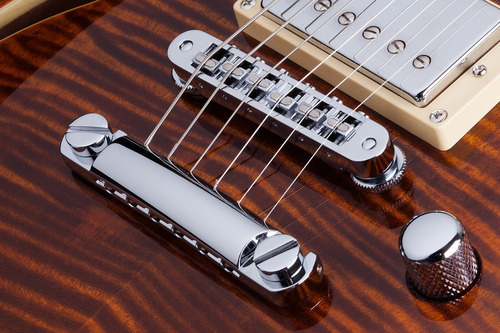 Guitarra Electrica Schecter C1 E/a Piezo Fishman