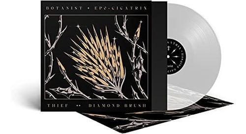 Lp Cicatrix / Diamond Brush (clear Vinyl) - Botanist