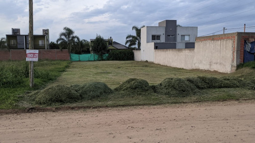 Lote De 14.50 De Frente Por 39.10 De Fondo