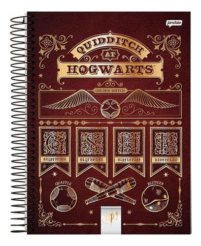 Caderno Harry Potter 10 Matérias 200 Folhas Jandaia 01