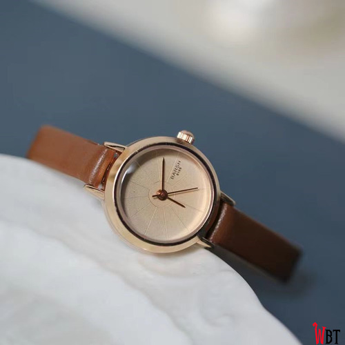 Reloj De Moda Para Estudiante Mujer Sencillo Dbrown