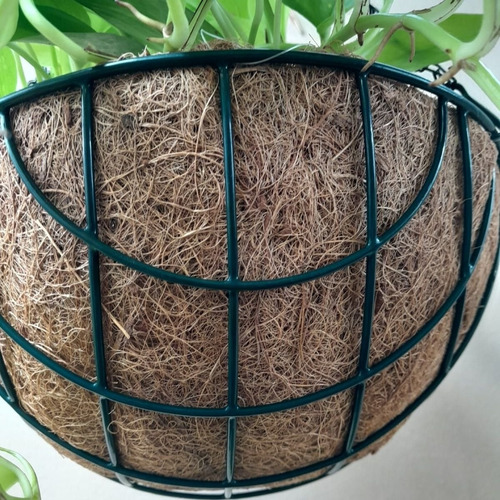 Vaso De Coco Suspenso Redondo Vertical Orquídea Ornamentais