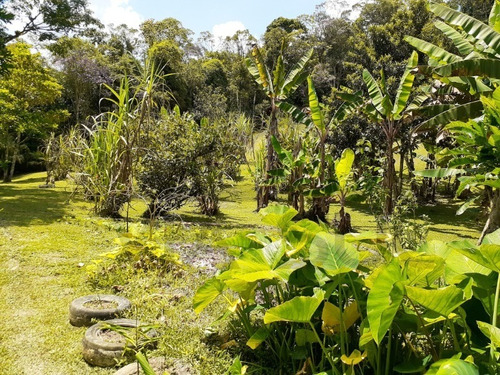 Imagem 22 de 30 de Sítio Ideal Para Lazer E Moradia, São 26.400 M² De Beleza Natural Em Juquitiba! - 149 - 34840703