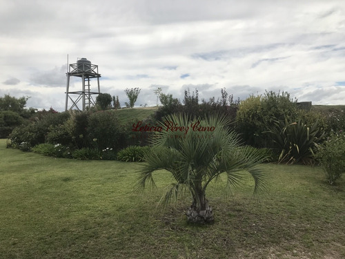 Imagen 28 de 30 de Venta De Chacra Sobre Ruta 9 A 30 Km De Jose Ignacio