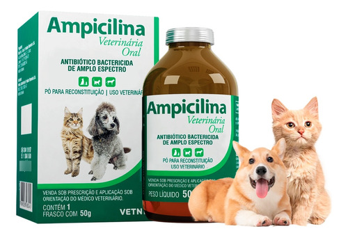 Ampicilina Oral 50g Bactericida Antibiótico Cães E Gatos
