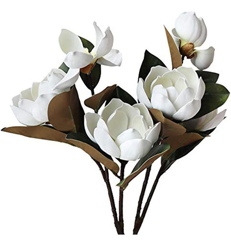 Liucogxi Flor De Magnolia Artificial Vintage Blanca 6 Cabeza