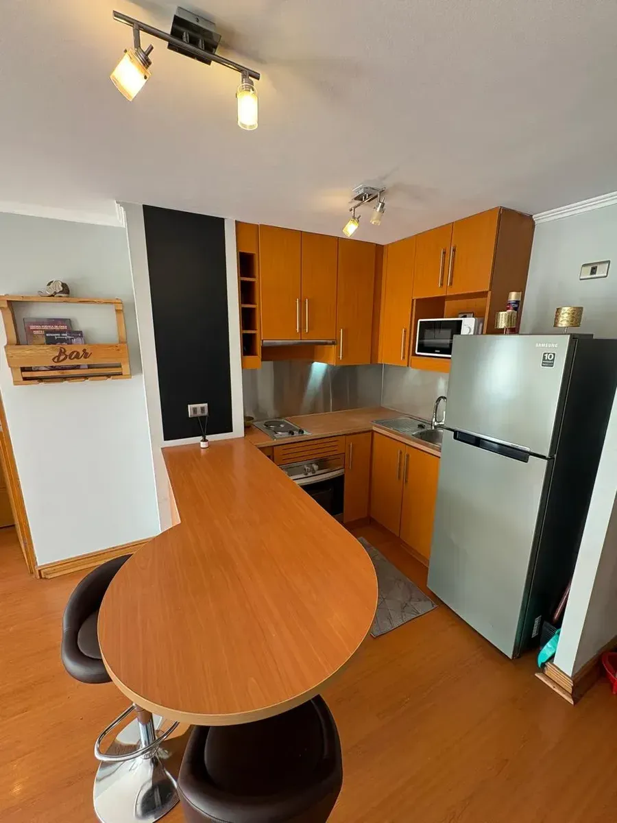 Imagen 1 de 8 de Arriendo Departamento 1d/1b Amoblado En Providencia.