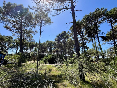Terreno Cerca De Playa Grande Y Rivero, Excelente Zona