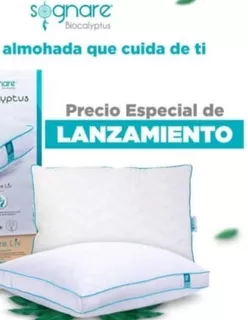 2x1 Almohada Sognare Biocalyptus Estándar Firme Oferta!