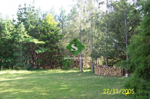 Venta De Chacra En San Carlos, 5 Hectareas, Con Arroyo, Arbolados, Sobre Ruta, Para Fraccionar.- Ref: 167767