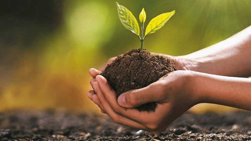 Imagen 9 de 10 de Biobizz Grow 1 Litro Fertilizante Orgánico Vegetativo