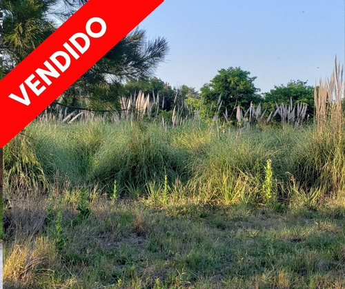 Lote Punta Indio