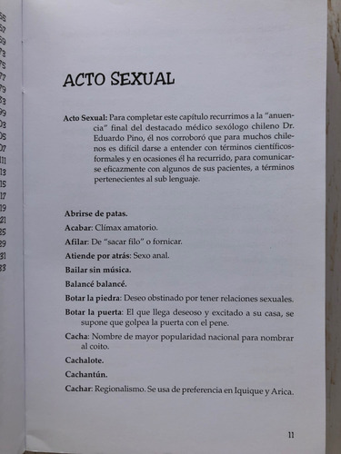 Groserías Y Palabrotas Chilenas / Profe. Jaime Campusano (Usado)