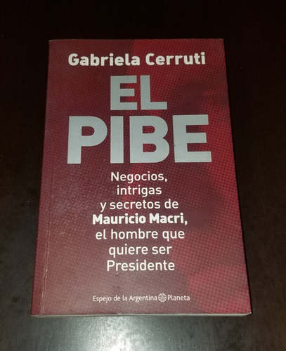 Libro Gabriela Cerruti - El Pibe