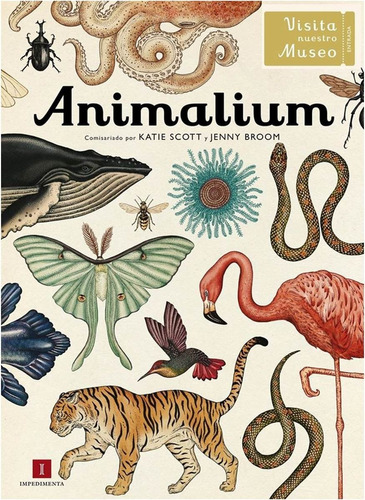 ANIMALIUM, de KATIE SCOTT. Editorial Oceano, tapa blanda en español, 2016