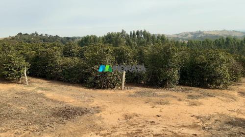 Imagem 8 de 12 de Fazenda - Zona Rural - Ref: 5175 - V-mta5175
