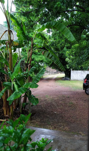Se Vende Casa En Corazón De Prado 5 Dorm. Terreno De 753 M2