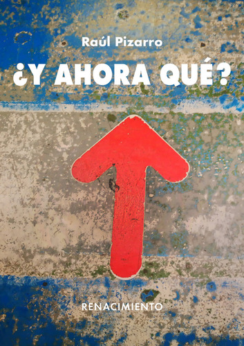 Libro Â¿y Ahora Que? - Pizarro, Raul