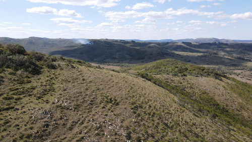 Campo En Rocha De 137ha (ref: Atm-6803)