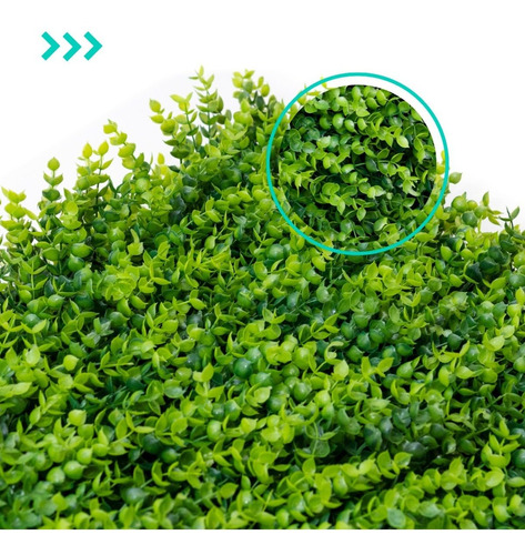 Imagen 1 de 10 de Jardin Vertical Artificial Muro Verde Modelo  Pilcomayo 