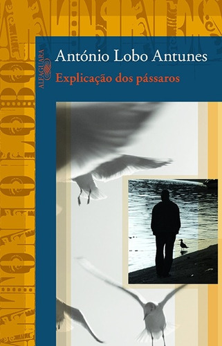 Explicação dos pássaros, de Antunes, António Lobo. Editora Schwarcz SA, capa mole em português, 2009