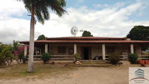 Imagem 1 de 30 de Granja A Venda Entre Monte Alegre E Brejinho