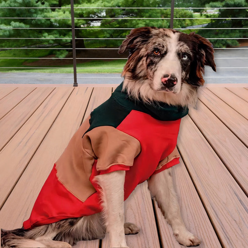 Buzo Para Perros Elecant Talle 3 | Buzo Con Cuello Para Mascotas Tricolor | Ropa Para Perros Premium |