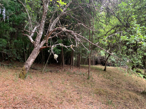 Parcela De 7.500 Mt2 En Sector Puninque