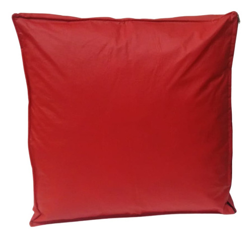 Almohadon 50x50 P Sillón Algarrobo Fuelle Y Cierre Ecocuero 